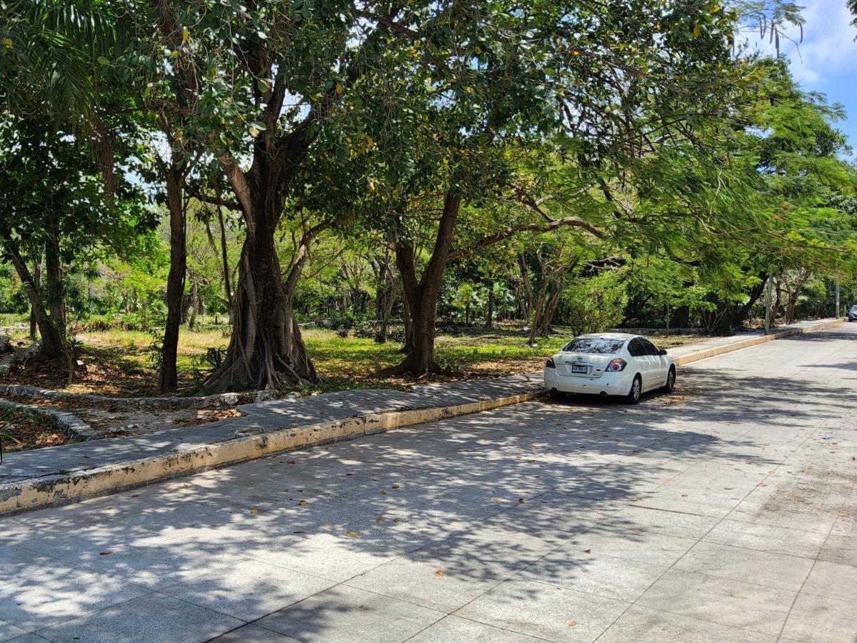 Apartmán Tr3S By Walter De La Renta Cancún Exteriér fotografie